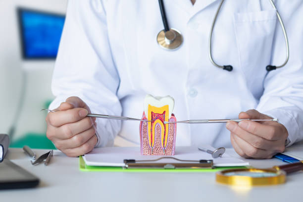 Best Emergency Dentist for Lost Fillings or Crowns in St James, NY